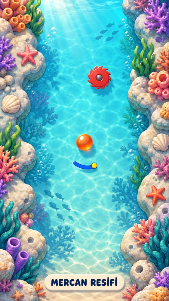 Coral Reef